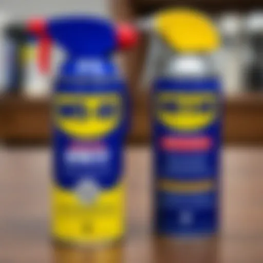 Где купить WD-40: Исчерпывающ�ее руководство Introduction