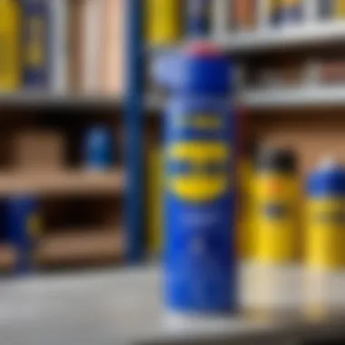 Notable Где купить WD-40: Исчерпывающее руководство Notable Где купить WD-40: Исчерпывающее руководство