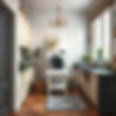 Magnificent Методы очистки резинок в стиральной машине