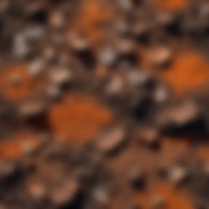 Detailed view of acidic peat highlighting its texture and composition.