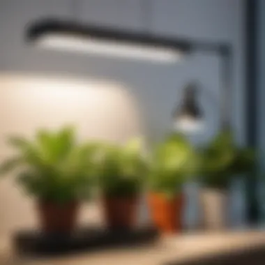 Adjustable Grow Light Setup with Timer Adjustable grow light setup with timer