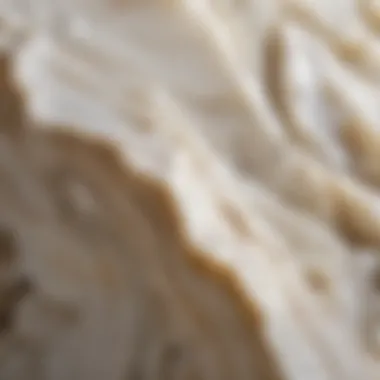 Close-up view of alabaster material showcasing its texture.