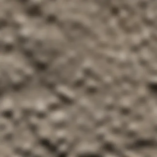 A close-up view of cement powder with texture details