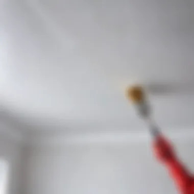 Applying Paint to the Ceiling Close-up of a brush applying paint on a ceiling