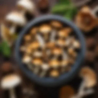 Culinary Applications of Aspen Mushrooms Culinary dishes featuring aspen mushrooms as a key ingredient.