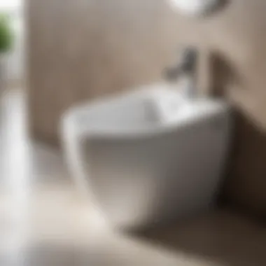 Sleek and minimalist bidet model with eco-friendly features