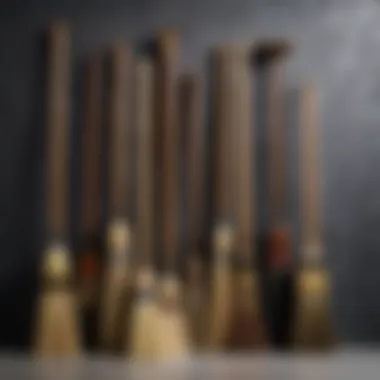 Diverse Types of Brooms A collection of different broom types displayed elegantly