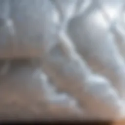 Close-up view of bubble wrap showcasing its cushioning properties