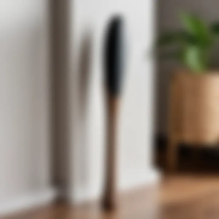 Stylish shoehorn displayed in a home setting