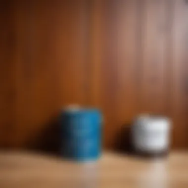 Types of Paint for Varnished Wood Paneling Different types of paint suitable for varnished wood paneling
