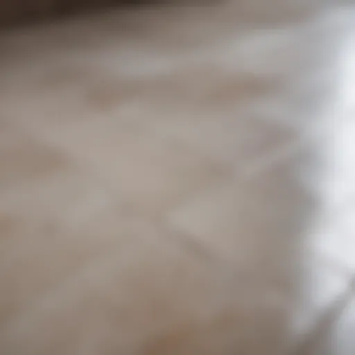 Close-up of a clean tile surface after silicone removal