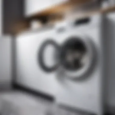 Washing machine with a clean interior after mold removal