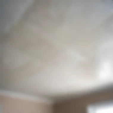 Grease Stains on Matte Stretch Ceiling Close-up of a matte stretch ceiling showing grease stains