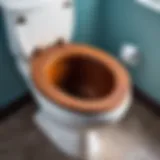 Rusty toilet bowl before cleaning