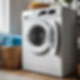 Cleaning supplies for washing machine maintenance