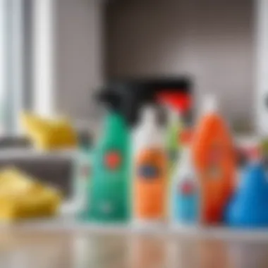Essential Cleaning Supplies Cleaning supplies for maintaining matte ceilings