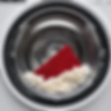 Inspecting Lint Buildup in the Washing Machine Drum Inside view of a washing machine drum showcasing lint buildup