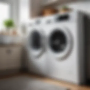 Step-by-step guide for washing machine cleaning