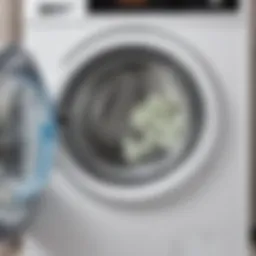 Interior of a washing machine showcasing mold and mildew