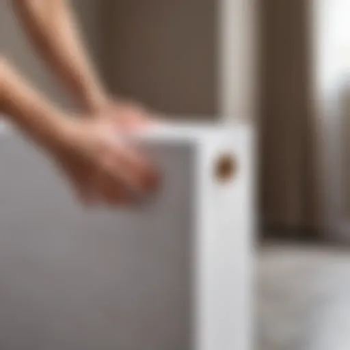 Detailed view of Cleo adhesive for non-woven wallpapers in use