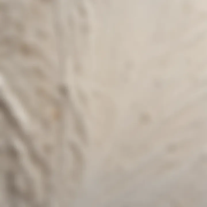 Close-up of water-resistant gypsum board texture