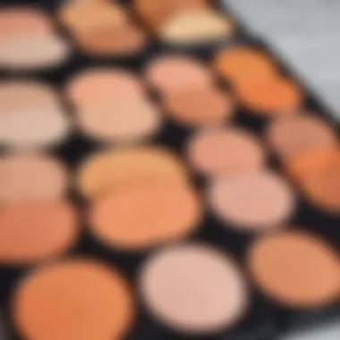 Exploring Peach Shades on a Palette Palette with various shades including peach