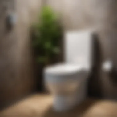 Common mistakes during toilet installation