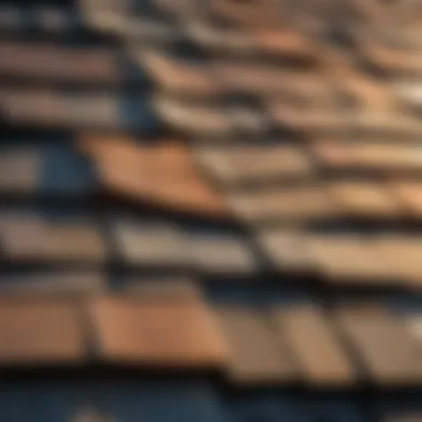 Showcasing Craftsmanship of a Finished Ridge Completed ridge showcasing craftsmanship with soft shingles