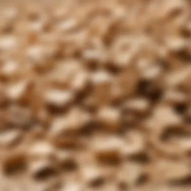 Close-up of wood particles used in particle board