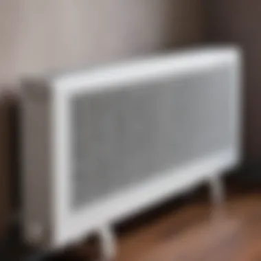 Variety of Convector Types Different types of convectors displayed for comparison