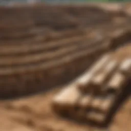 Different types of foundation piles in a construction site