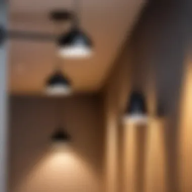 Varieties of LED Light Fixtures and Their Features Different types of LED light fixtures