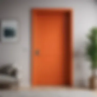The Impact of a Closed Door on Interior Design Elegant closed door in a modern interior setting