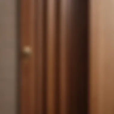 Exploring Various Door Materials and Finishes Close-up of door materials and finishes