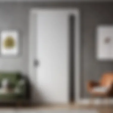 Enhancing Sound Insulation with Door Treatments Door treatment for improved sound insulation