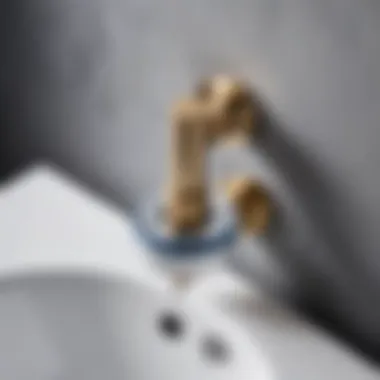 Understanding Dual Flush Mechanism A close-up view of a dual flush mechanism illustrating its components.