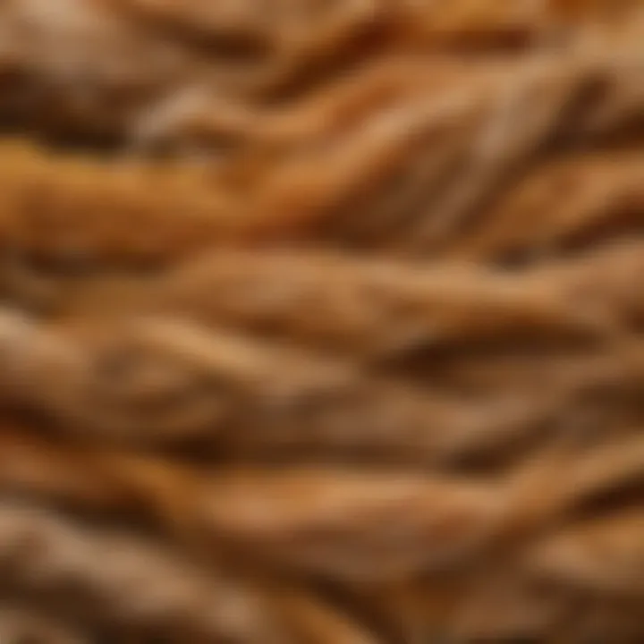 Natural fibers sourced from organic materials