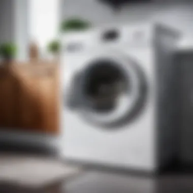 Spotless Washing Machine Interior Clean washing machine interior