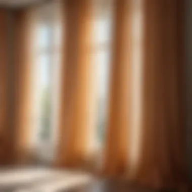 Beautifully Maintained Tulle Drapes Beautifully maintained tulle drapes in sunlight