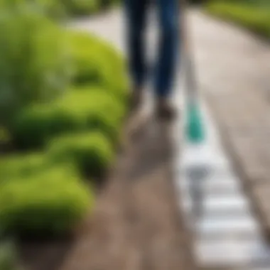 Chemical weed killer being applied to a pathway