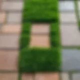 Lush green grass growing between pathway tiles