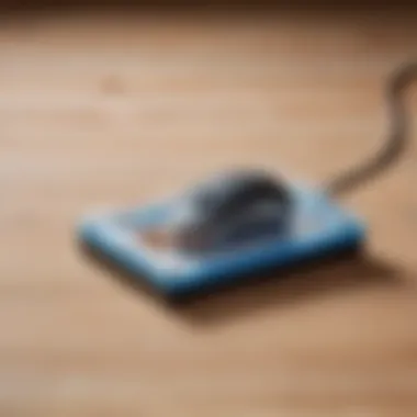 Efficient Electronic Mouse Trap A modern electronic mouse trap in action