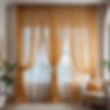 Elegant Tulle Curtain A well-maintained tulle curtain hanging elegantly in a bright room