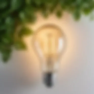 Energy-efficient bulbs displayed with green leaves