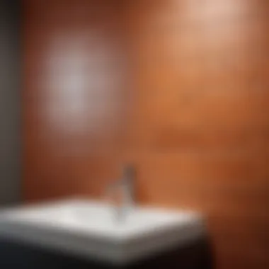 Final Appearance of Wall Tile Installation Final appearance of wall tile installation