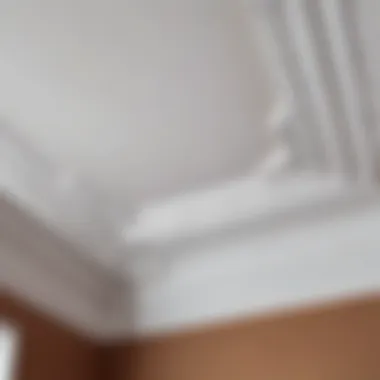 Flawless Finish of the Cornice Corner Smoothly finished interior corner of a ceiling cornice