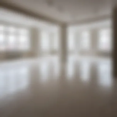 Completed Floor Screed Installation Example of a finished floor screed installation