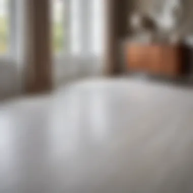 Elegant Finish of Painted Floor Surface Finished floor with a smooth paint application