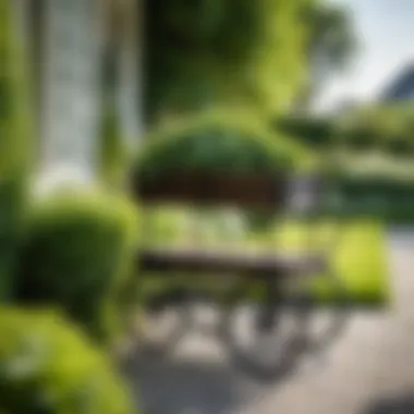 A stylish garden cart in a lush garden setting