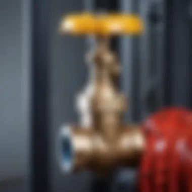 Mechanism of a Gate Valve Diagram showcasing the mechanism of a gate valve in action